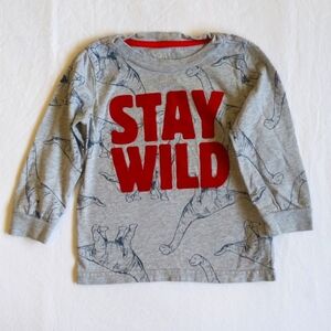 simple joys carter's stay wild dinosaur long sleeve shirt 2T toddler boys
